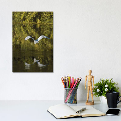 Egret Over Golden Waters by Louis Ruth - Wrapped Canvas Print
