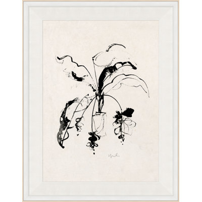 Plant II Framed Drawing Print