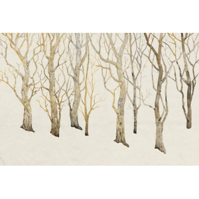 Bare Trees II by Tim OToole - Wrapped Canvas Print