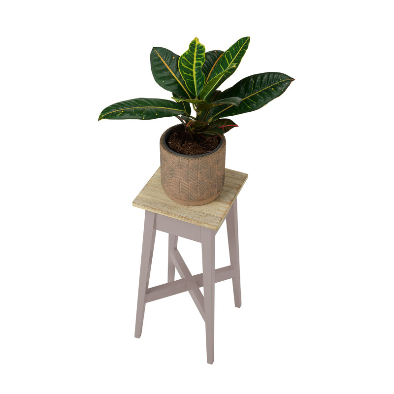 Decatur Plant Stand, Truffle, H50 x L24 x D24cm