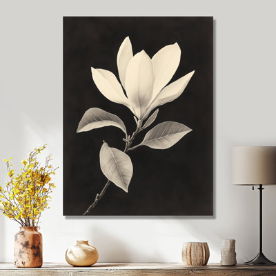 Sepia Magnolia Study - Botanical Wall Art