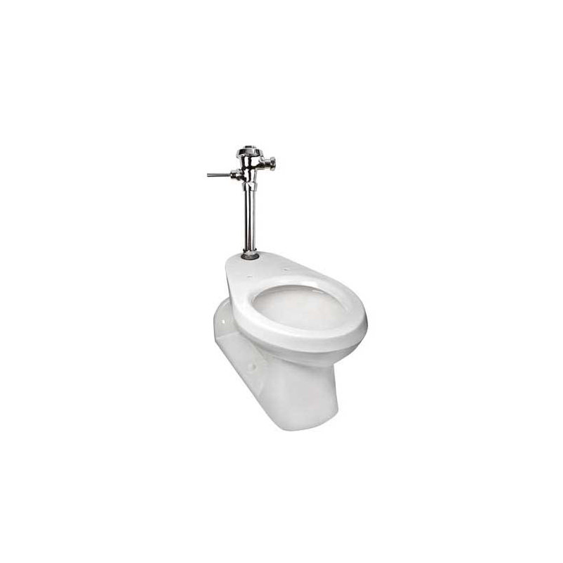 Commercial Dual Flush Elongated One-Piece Toilet (Seat Not Included)