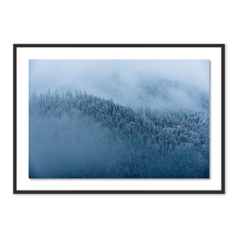 Winter Trees II Print by Michael Schauer, Black, 34" H x 48" W x 2.5" D