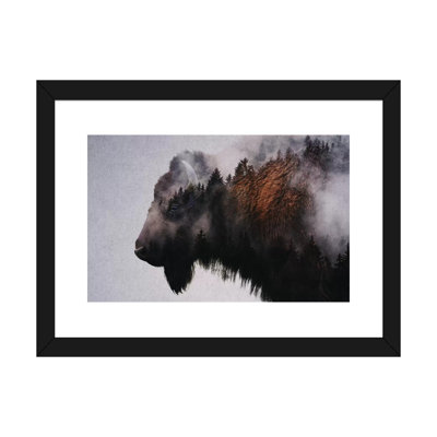 " Bison " by Andreas Lie