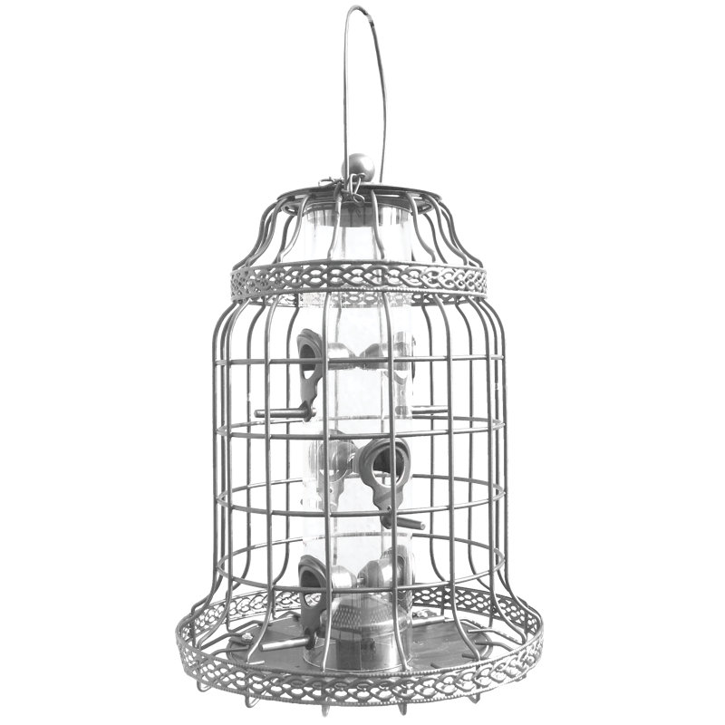 Mangeur D'oiseaux Du Patrimoine, Nickel