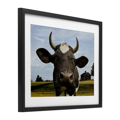 «Farm Cow with Curved Horns», reproduction encadrée sous verre, conception de Marcus Prime