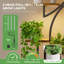 Support pour plante d'intérieur avec lumières de croissance