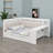 All-in-One Sleep and Study Daybed with Upholstered Backrest, Bookcase, Pull-Out Guest Bed, Power Hub, and Ambient LED Strips-134013213
