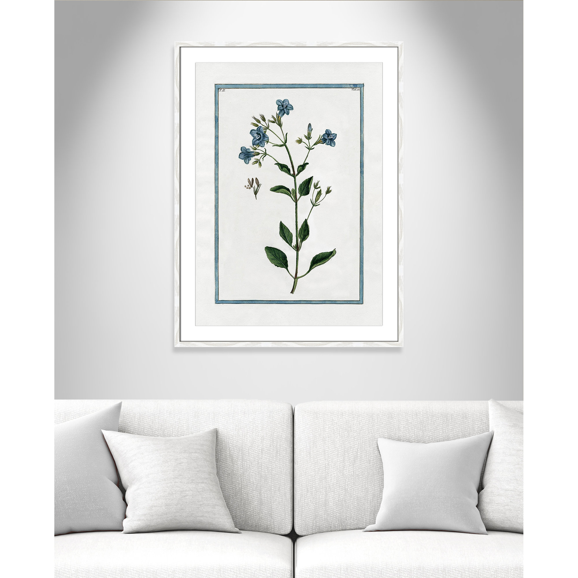 Shabby Elegance Botanical II - Framed Art, 25.5" W x 35.5" H, White Framed