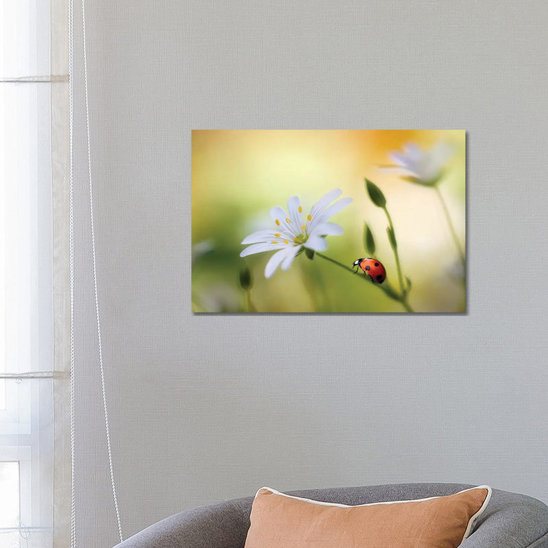 Summer Beauties by Mandy Disher - Wrapped Canvas Print, 66.04 cm H x 45.72 cm W x 1.91 cm D