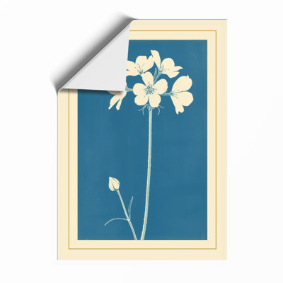 Single Bloom Botanical - Framed Print