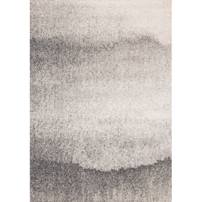 Defeo Grey Hazy Coastline Soft Neutral Area Rug