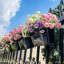 Elevated Planter