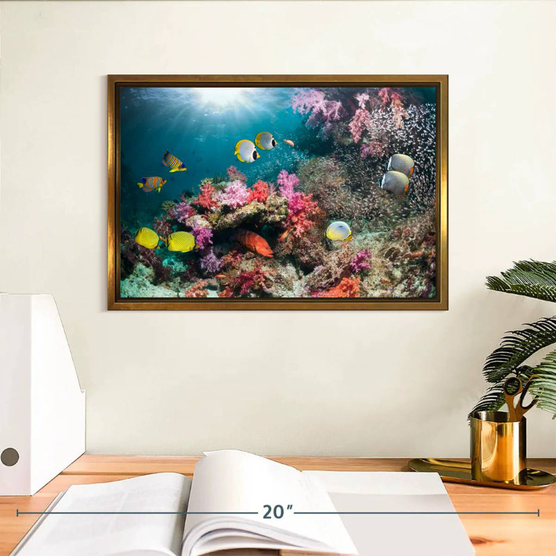 Andaman Sea Life, Cadre flottant doré, 13 po x 9 po