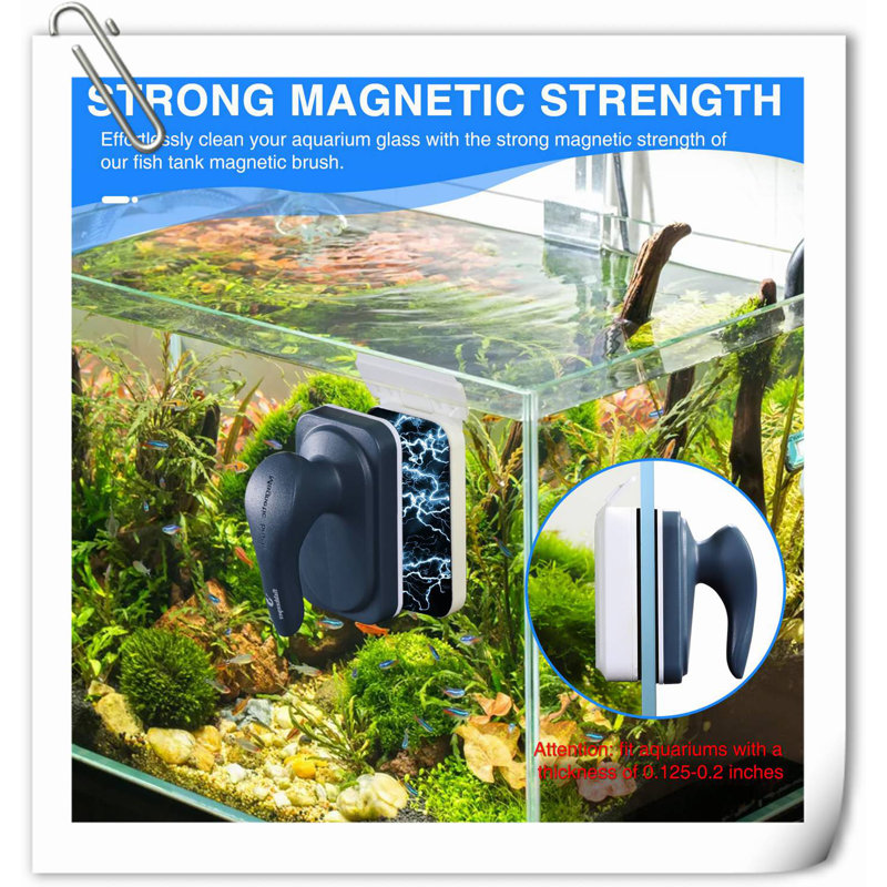 Brosse à vitre magnétique pour aquarium