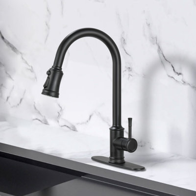 NOVEL Pull Down Kitchen Faucet