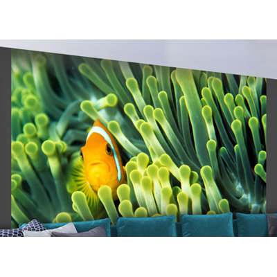 Anemonefish Wall Mural
