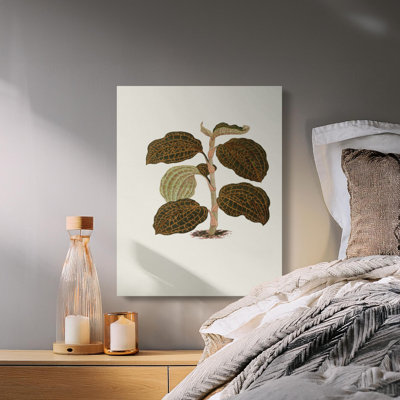 Hersh Wrapped Canvas Print Set