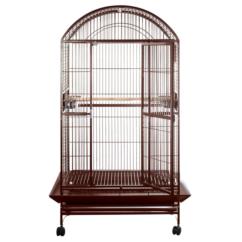 Cage XX XX, Bourgogne