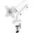 ONKRON Single Screen Desktop Mount
