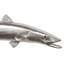 Animals Barracuda Fish Wall Décor