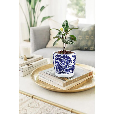 Set Of 2 Blue & White Ceramic Planters With Drainage & Saucers