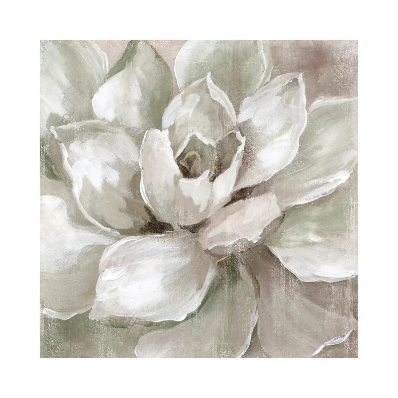 Hazy Summer Succulent by Nan - Wrapped Canvas Painting, 30.48 cm H x 30.48 cm W