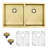 HIGOLD 33 Inch Double Bowl Kitchen Sink, Drop-In Sink With Bottom Grid, Stainless Steel PVD Nano Gold 33"×18"×10"-88594653