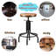 Tabouret de bar Passarella