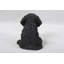 Statue chiot cockapoo assis