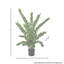 Plante UV en pot ZZ-741566498