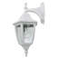 Lanterne murale d'extérieur H 14,25 po Slusser-23967530