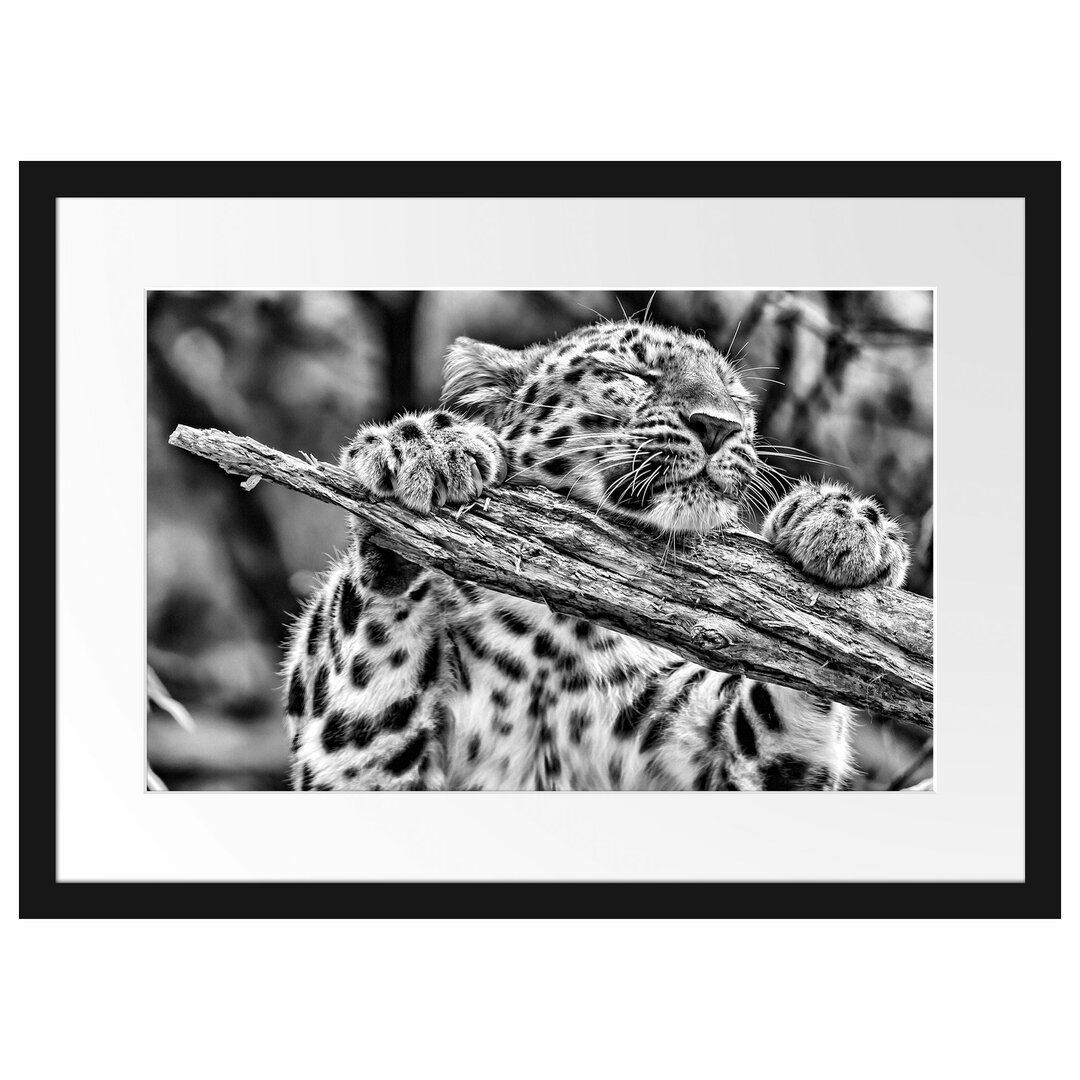 Gerahmtes Poster Verspielter Leopard