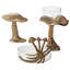 Figurine Annily Lichen