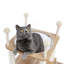 Arbre à chat en bois de style moderne et luxueux avec structure très haute pour grimper et se reposer