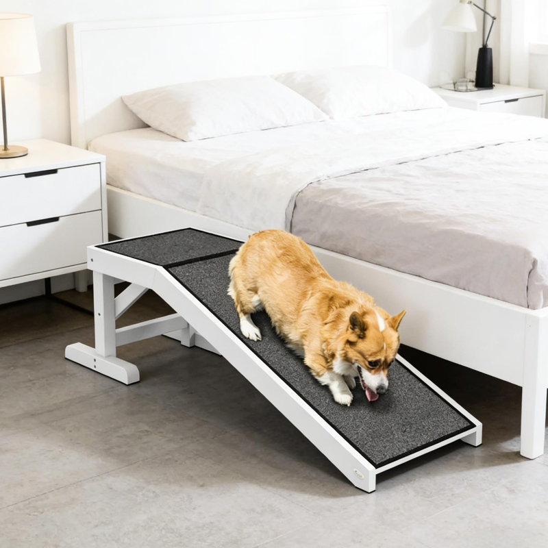 Rampe pour chat avec tapis et matériaux antidérapants, L 49,25 po x l 15,75 po, H 14 po, gris ou blanc, pour animaux de compagnie de moins de 66 lb