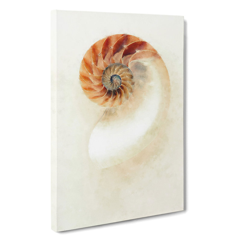 Mother Of Pearl Shell - Wrapped Canvas, 76cm H x 50cm W x 3cm D