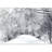 Tree Branches Covered Snow Winter-88769668