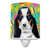 Black Basset Hound