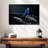 Brampt Hyacinth Macaw