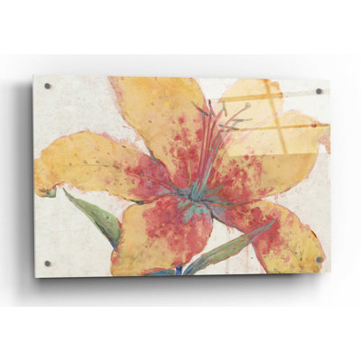 'Blooming Lily' by Tim O'Toole, Acrylic Glass Wall Art