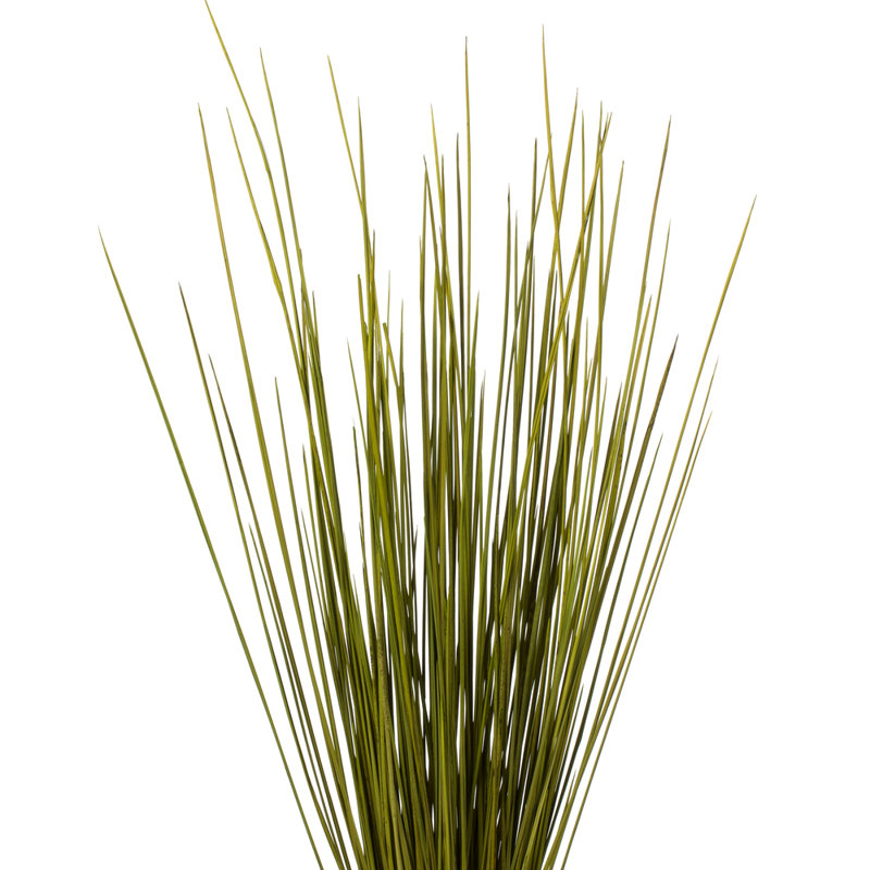 Faux Whip Grass Plant Preserved