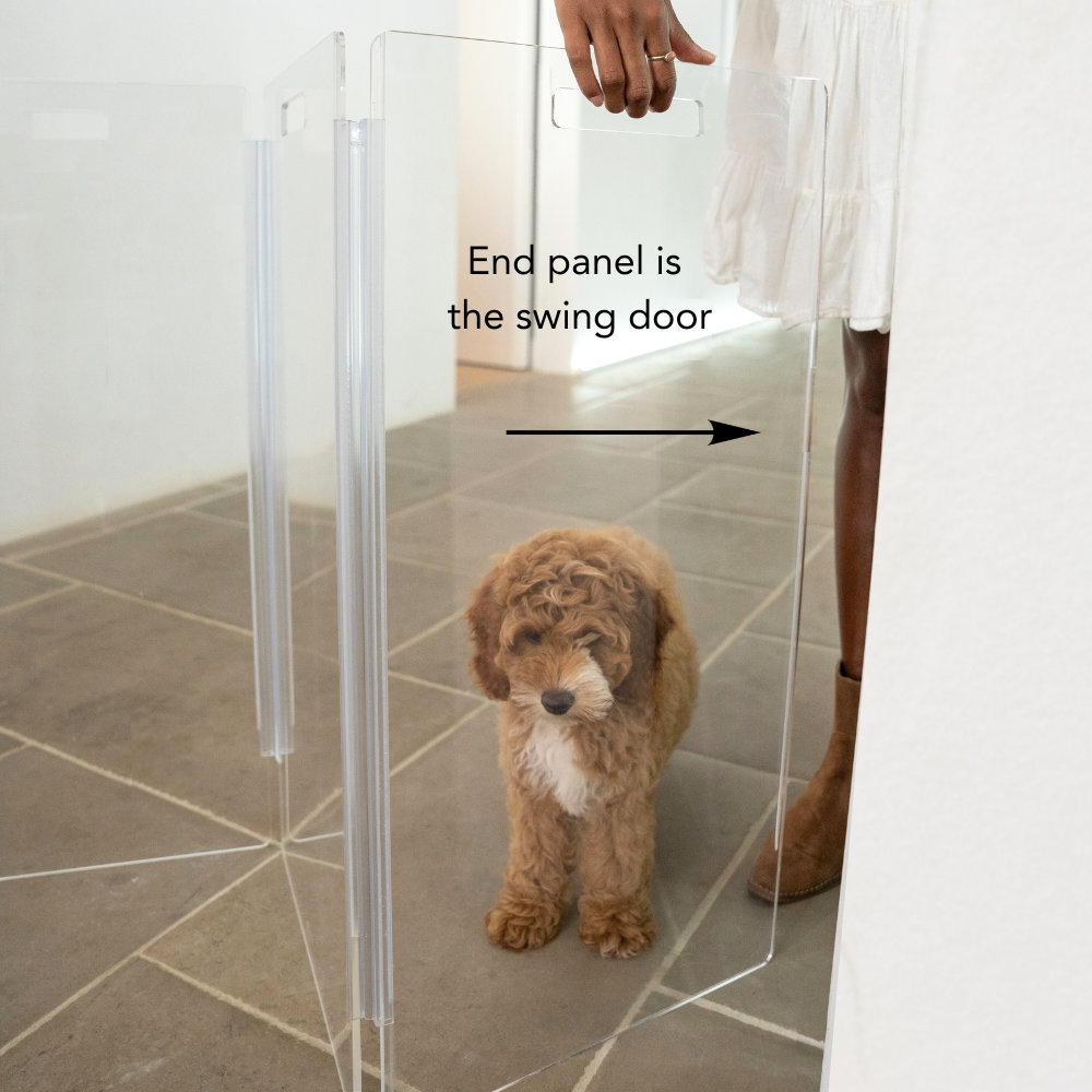 Clear Zig Zag Wall-Mounted Pet Gate, 8 Panel, Silver, Low