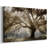 Virginia Oak -Gallery Wrapped Cavas-1067051638