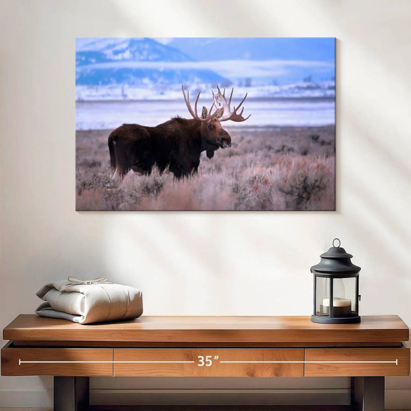 Brampt Teton Bull Moose