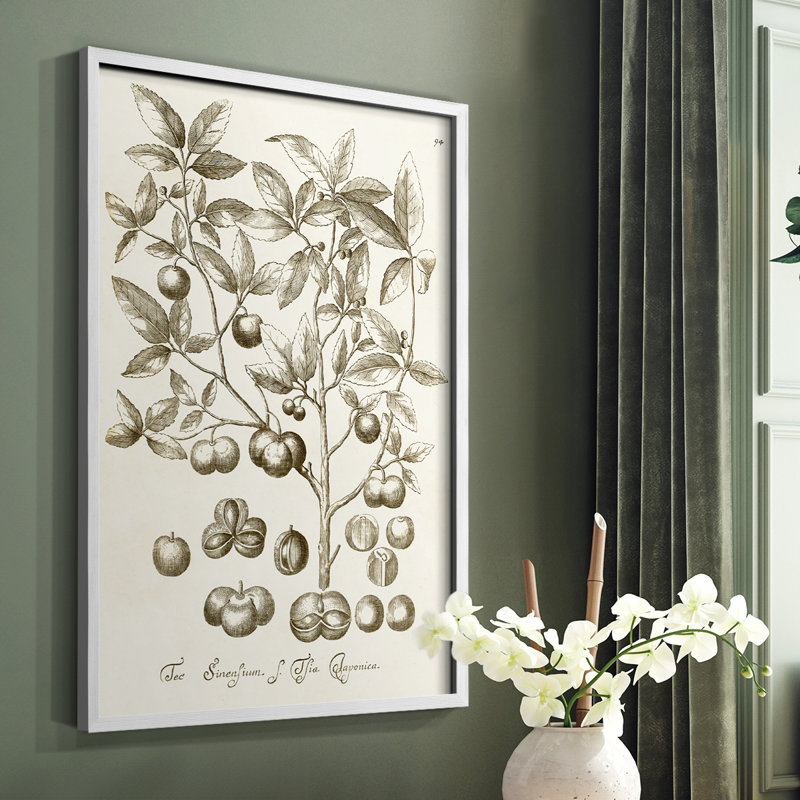 Sepia Botanical Journal II Framed Print - Solid Wood, White, 14" H x 11" W