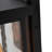 Black Wall Light
