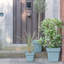 Pot Planter-1097821015