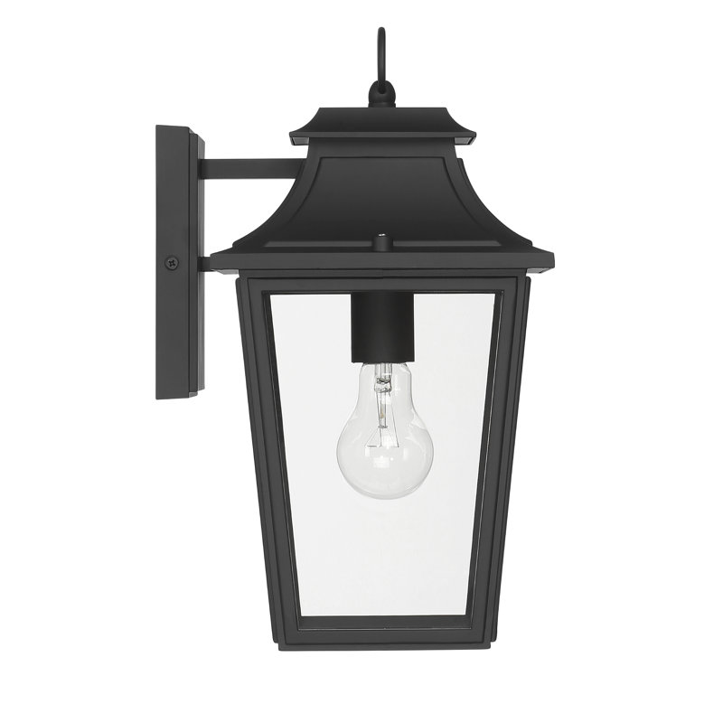Hunter Spring Cove Outdoor 1 Light Medium 15 Inch Wall Light, Black