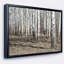 « belle dense bouleau forest view », reproduction de photo sur toile encadrée-26690684